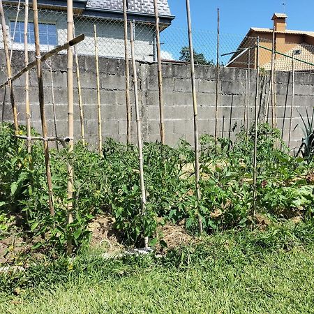 Nigrán A Casa Do Castanoヴィラ エクステリア 写真